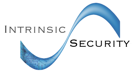 Intrinsic Security logo blue